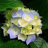 /album/fenykepgaleria/a532404-101833253324265-805094052-n-jpg/